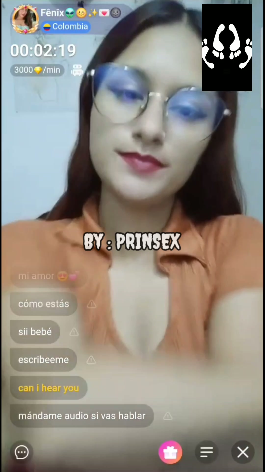 Vcs Fenix apk Chamet