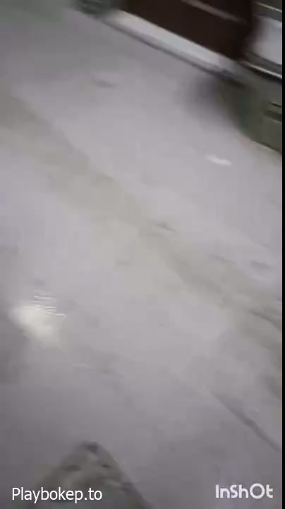 Open BO Purel Michat 2